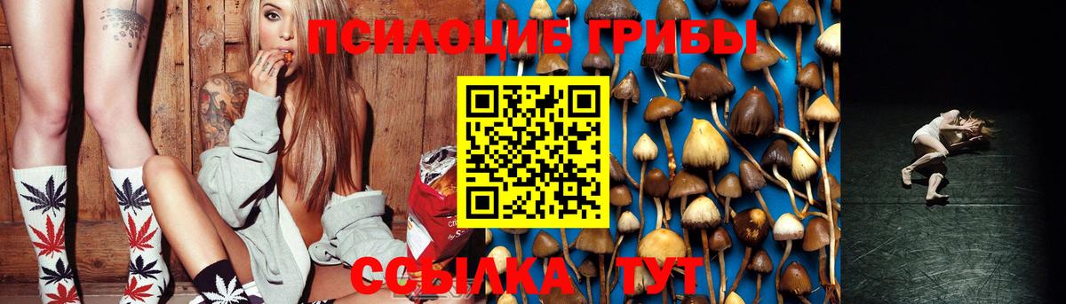 Галлюциногенные грибы Psilocybe Кировск